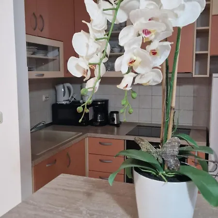 Апартаменты Antonia